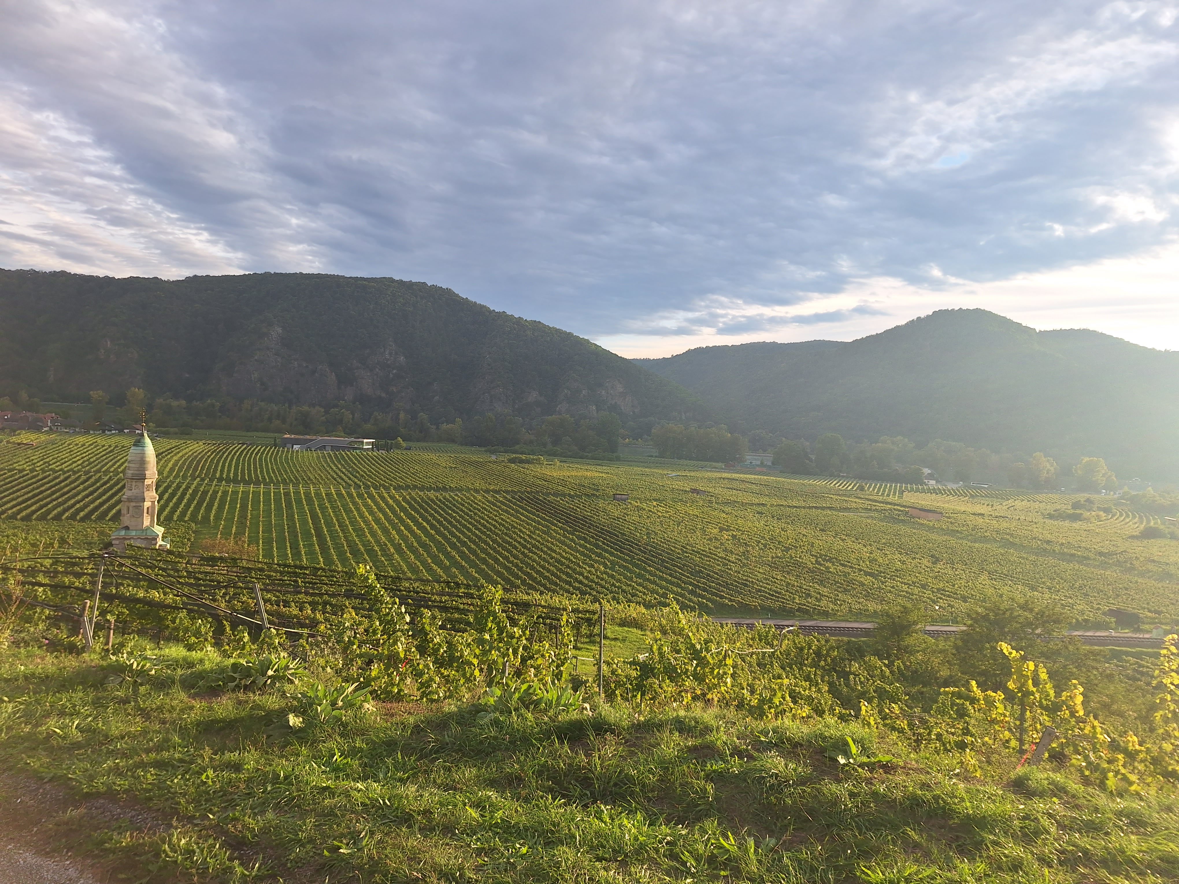 Wachau UltraTrail Wachau_UltraTrail